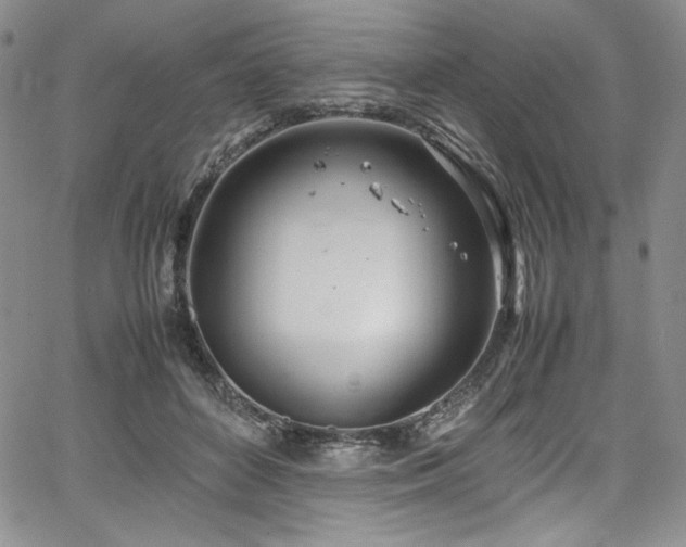 X0000067950504200604131439