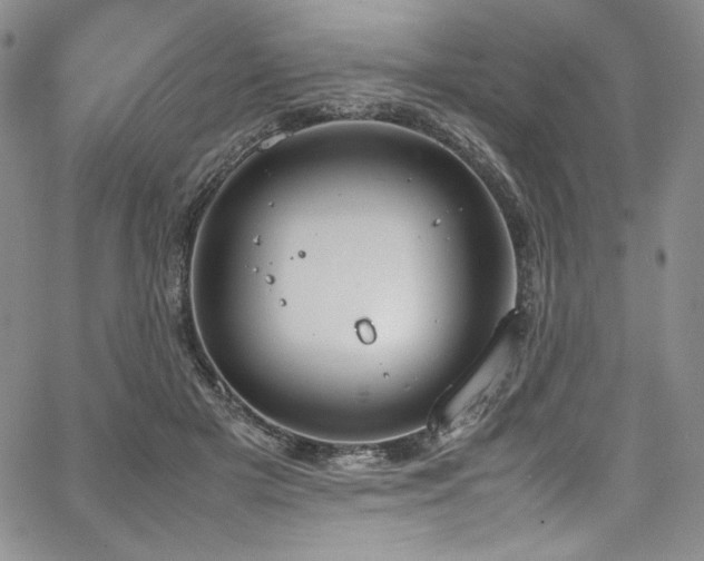 X0000067950505200604131439