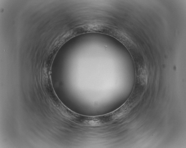 X0000067950506200604131439