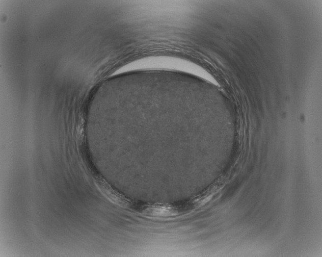 X0000067950507200604131439