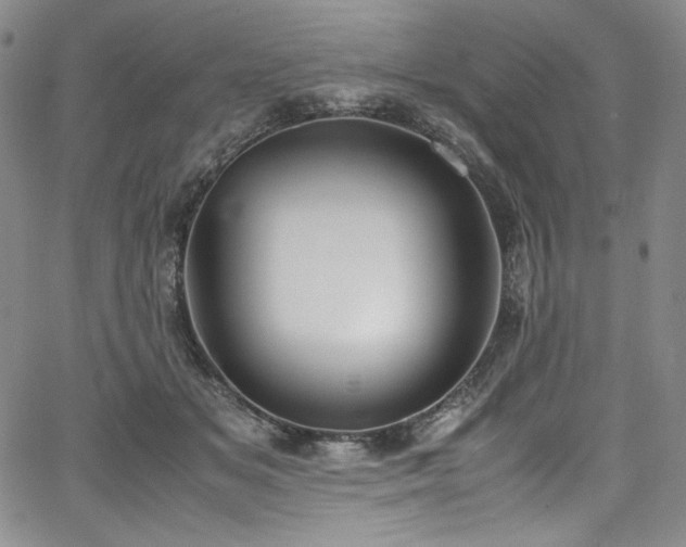 X0000067950509200604131439