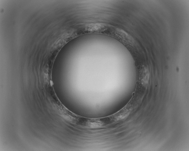 X0000067950510200604131439