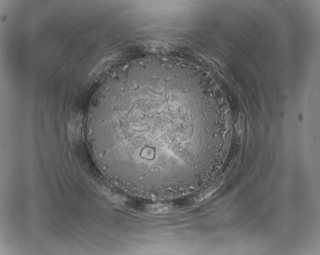 X0000067950511200604131439