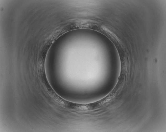 X0000067950513200604131439