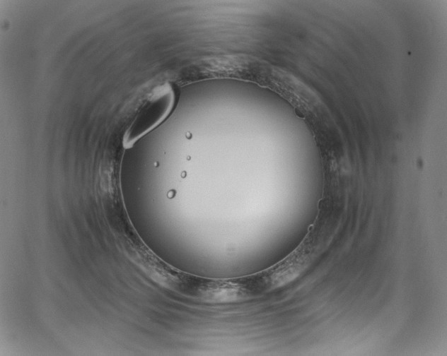 X0000067950514200604131439