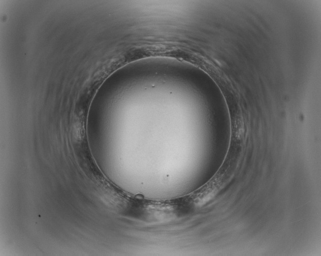 X0000067950515200604131439