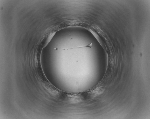 X0000067950516200604131439