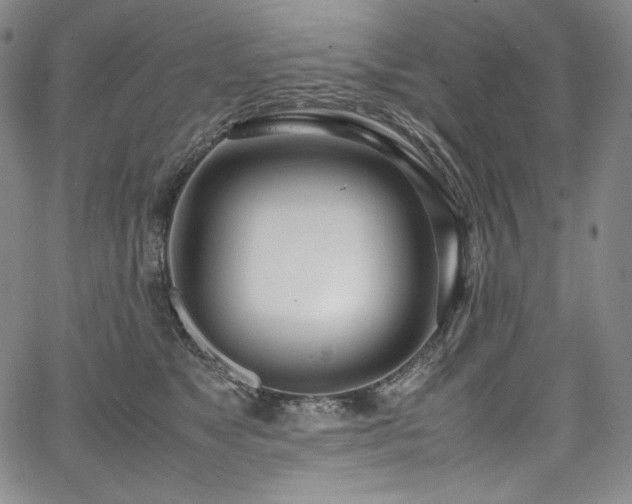 X0000067950517200604131439