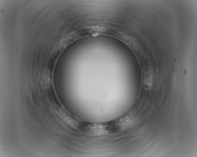 X0000067950518200604131439