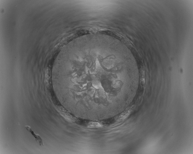 X0000067950519200604131439