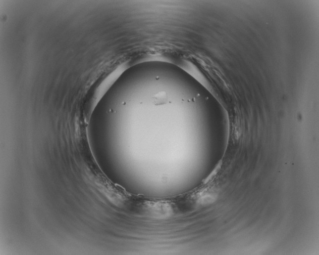 X0000067950520200604131439