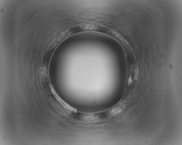 X0000067950521200604131439