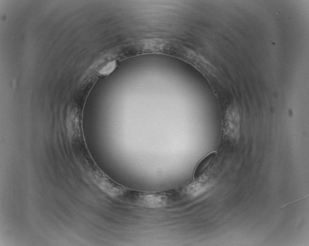 X0000067950522200604131439