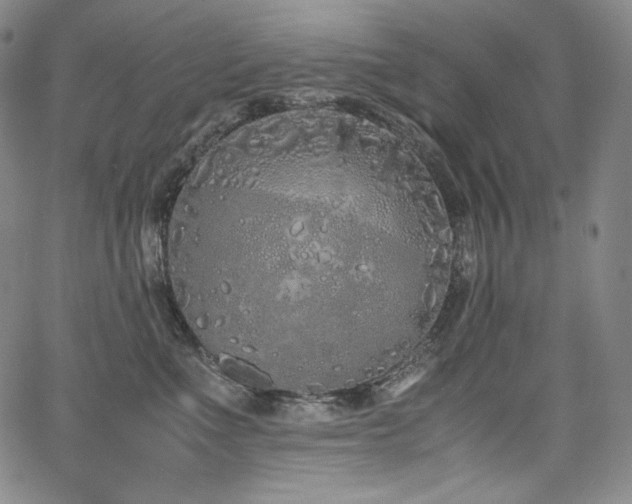 X0000067950523200604131438