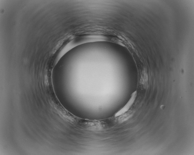 X0000067950524200604131438