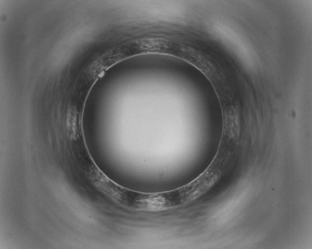 X0000067950525200604131438