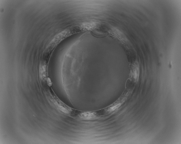 X0000067950526200604131438