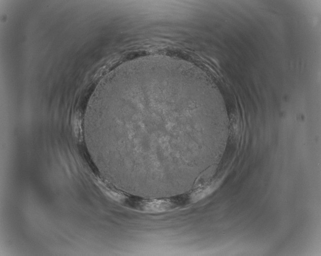 X0000067950527200604131438