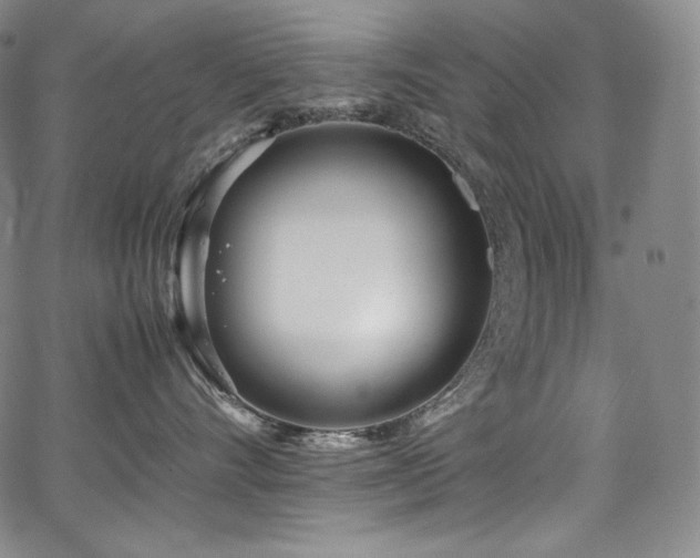 X0000067950528200604131438