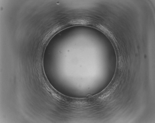 X0000067950529200604131438