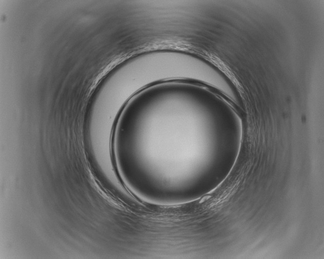 X0000067950530200604131438