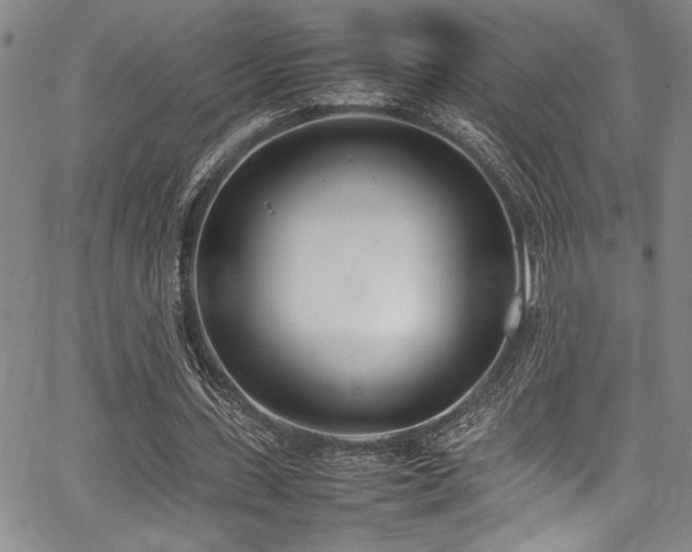 X0000067950531200604131438