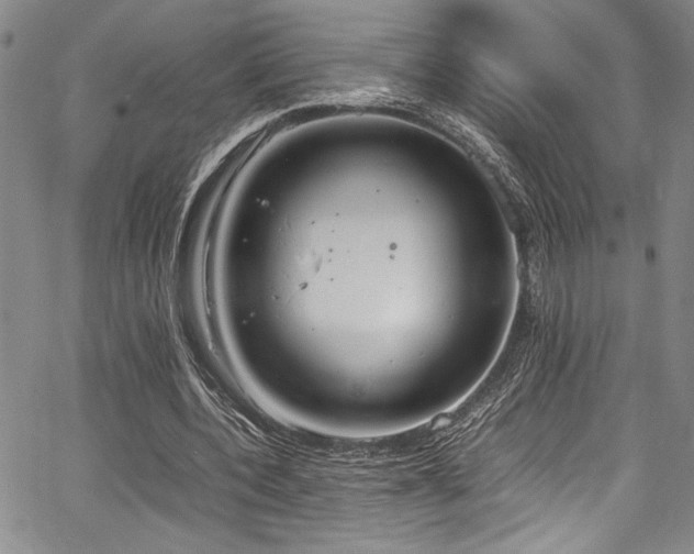 X0000067950532200604131438