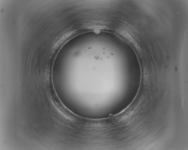 X0000067950533200604131438