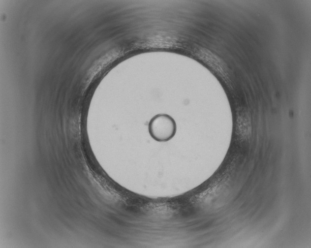 X0000067950534200604131438