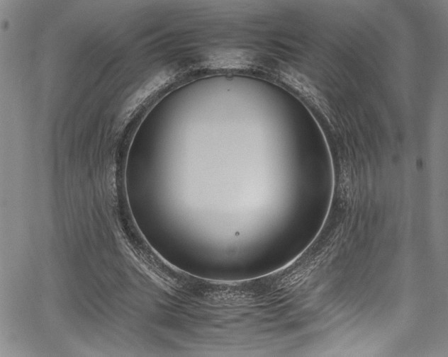 X0000067950535200604131438