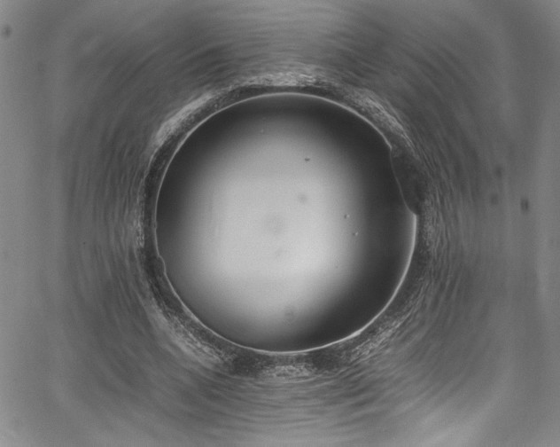 X0000067950536200604131438