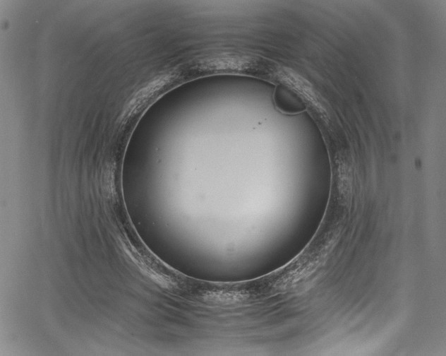 X0000067950537200604131438