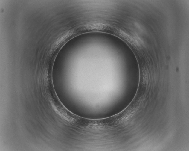 X0000067950538200604131438