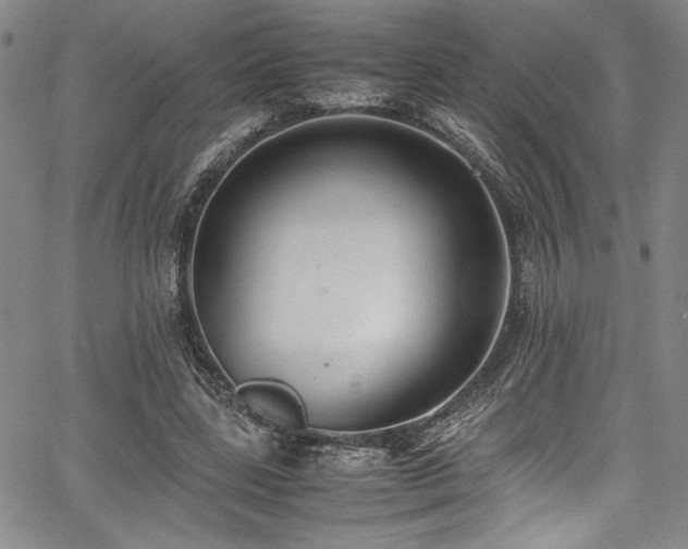 X0000067950539200604131438