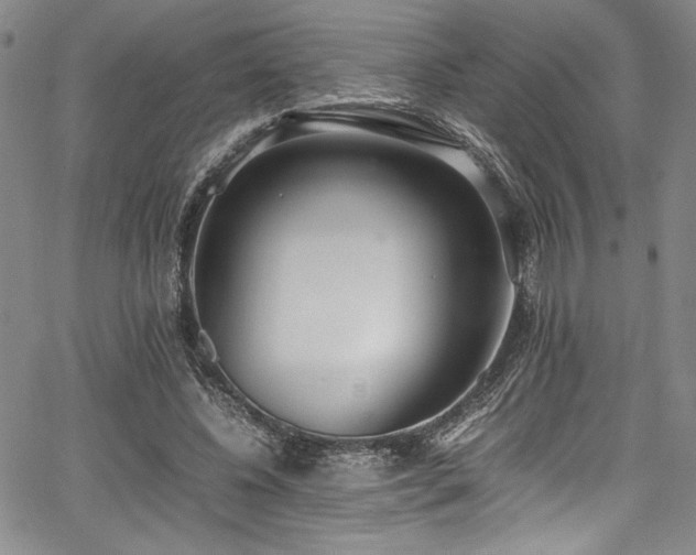 X0000067950540200604131438