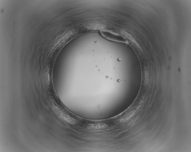 X0000067950541200604131438