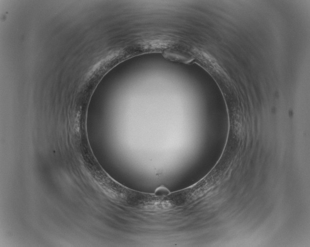 X0000067950543200604131438