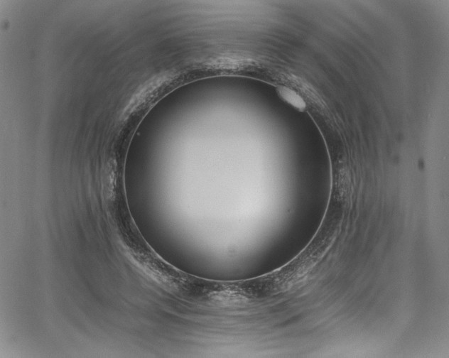 X0000067950544200604131438