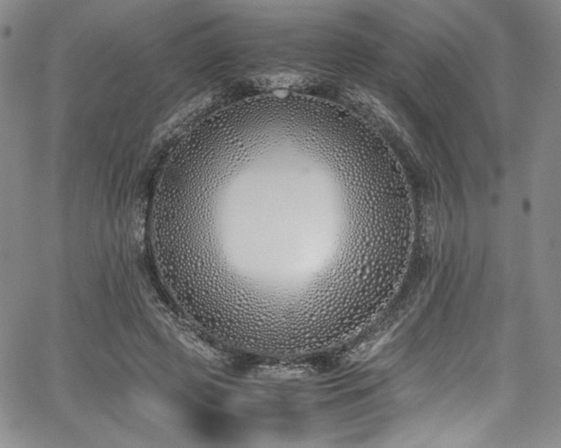 X0000067950545200604131438