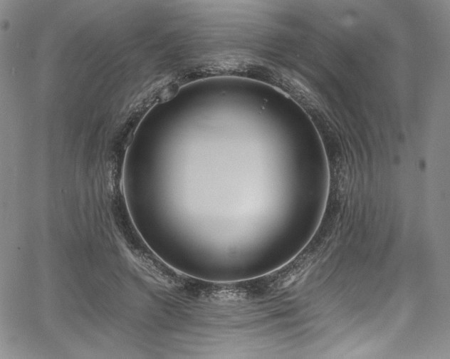 X0000067950546200604131438