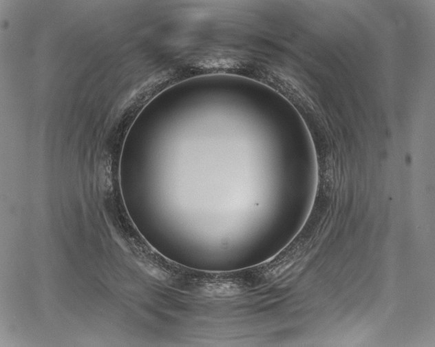 X0000067950547200604131438