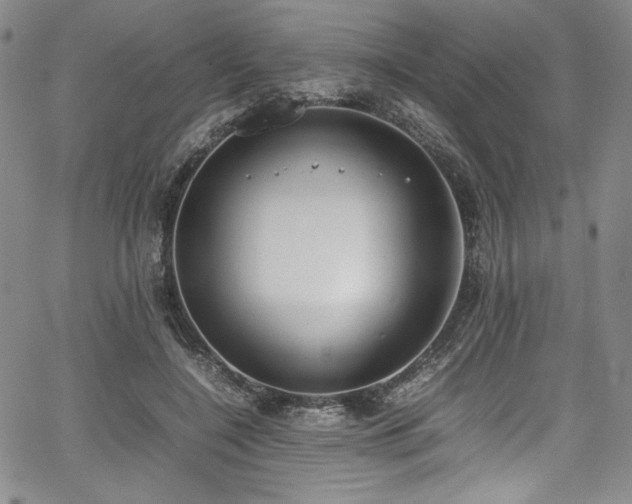 X0000067950548200604131438