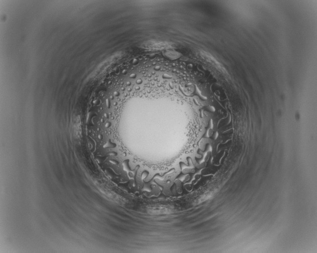 X0000067950549200604131438