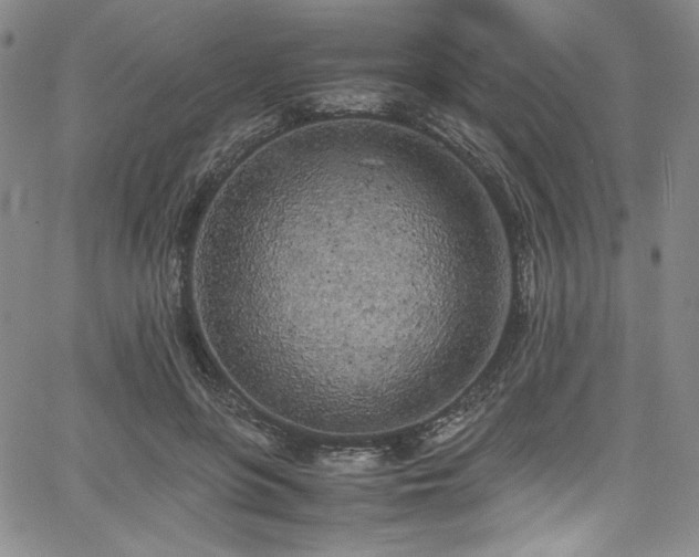 X0000067950551200604131438