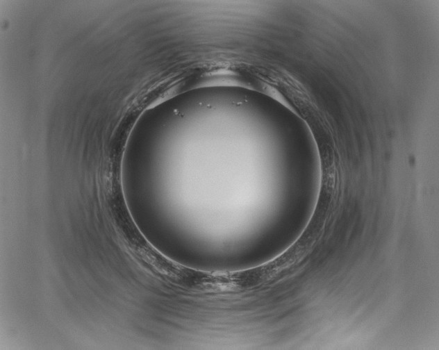 X0000067950552200604131438