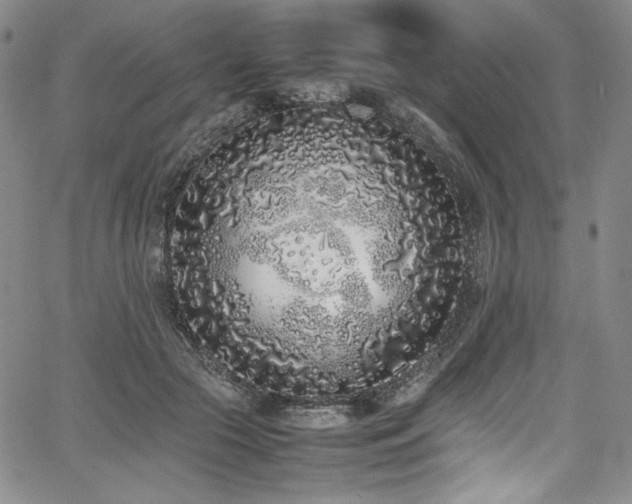 X0000067950553200604131438