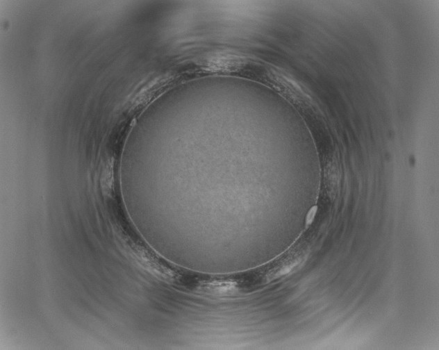 X0000067950554200604131438