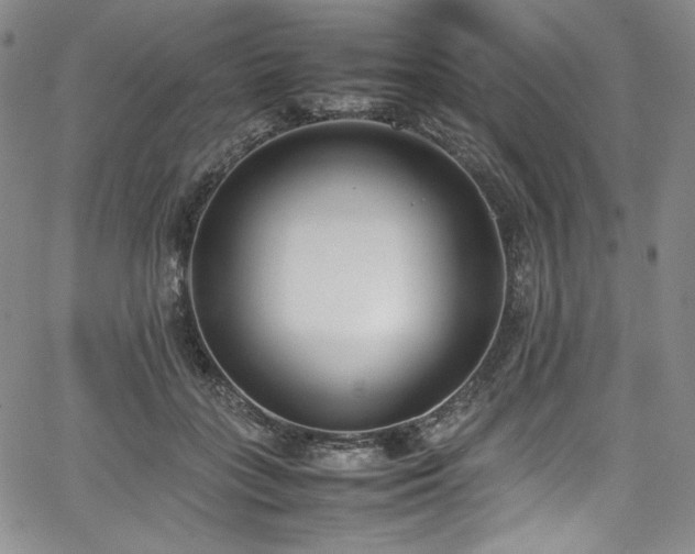 X0000067950555200604131438