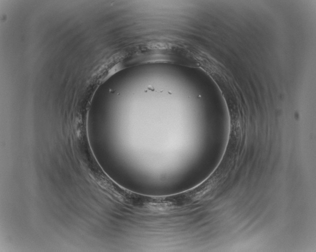 X0000067950556200604131438