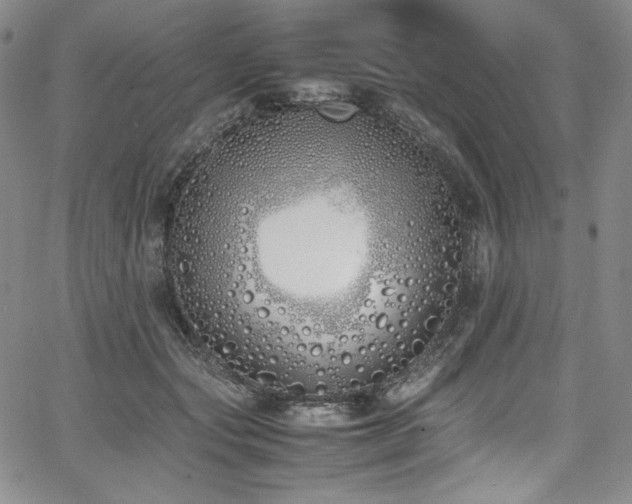 X0000067950557200604131438